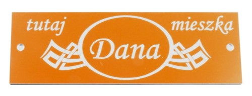 DANA INT-527